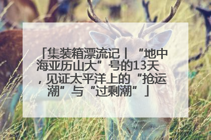 集装箱漂流记丨“地中海亚历山大”号的13天，见证太平洋上的“抢运潮”与“过剩潮”